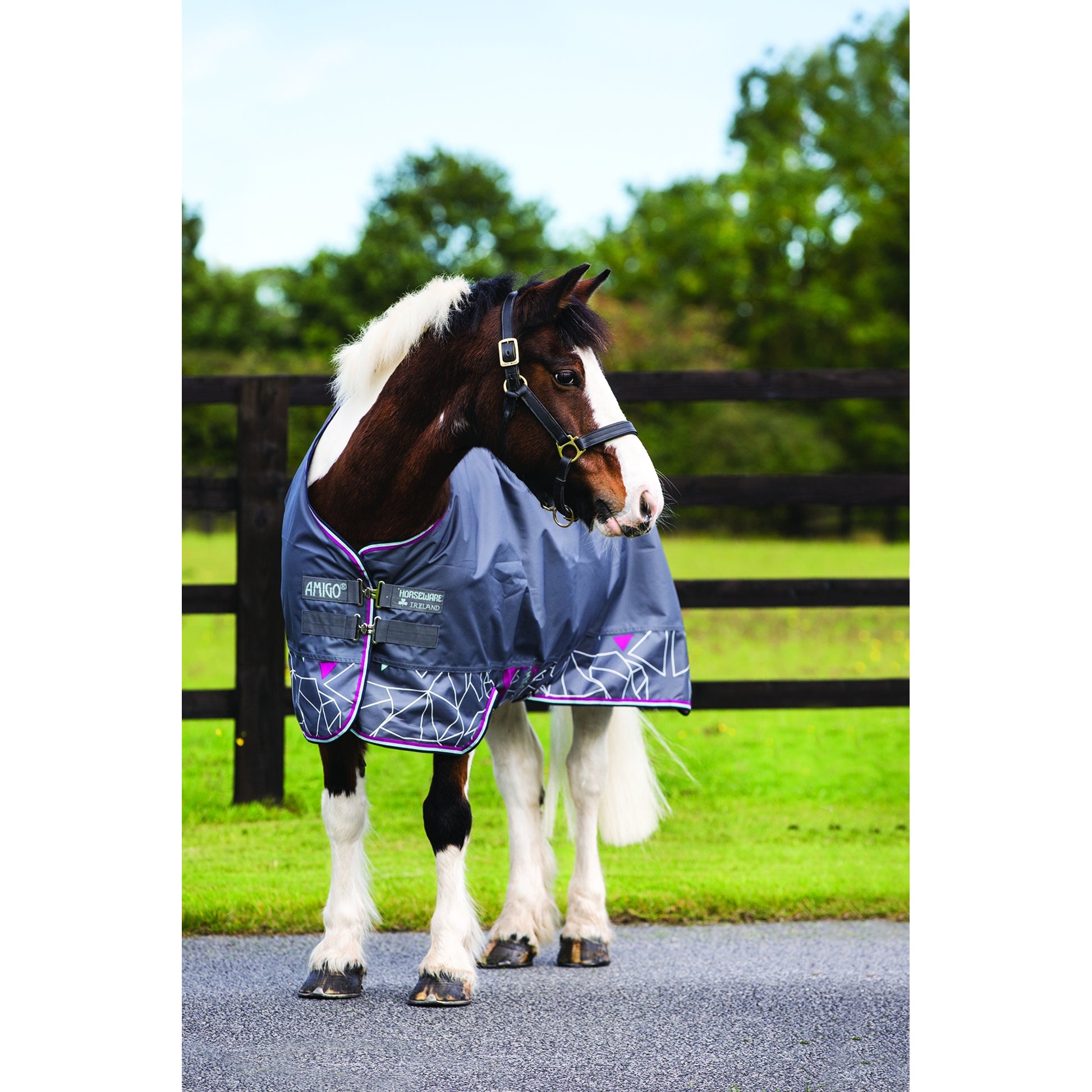 Amigo Pony Hero-6 Turnout - Lightweight 0g
