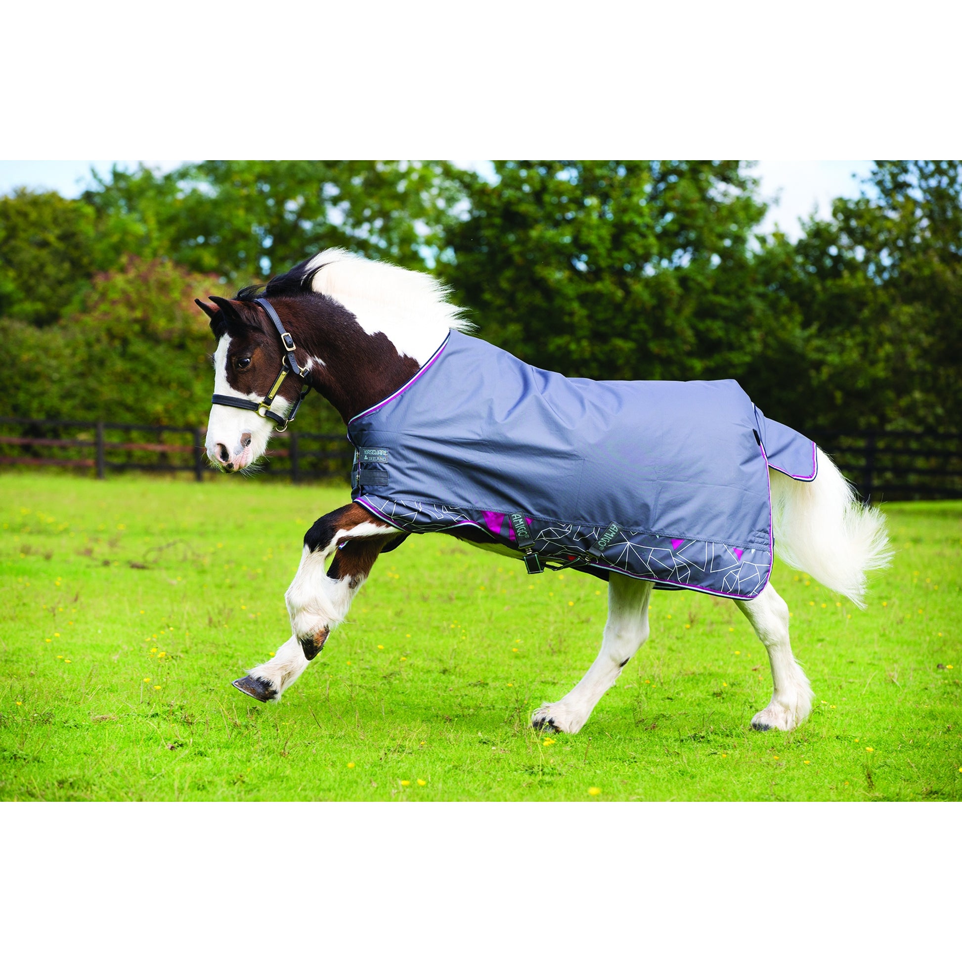 Amigo Pony Hero-6 Turnout - Lightweight 0g