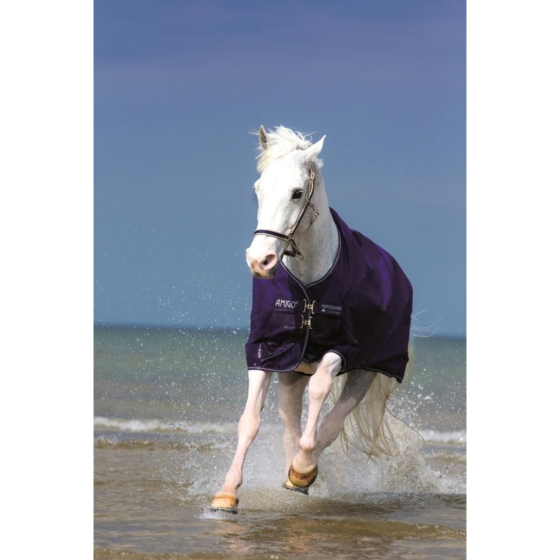 Amigo Pony Hero-6 Turnout - Lightweight 0g