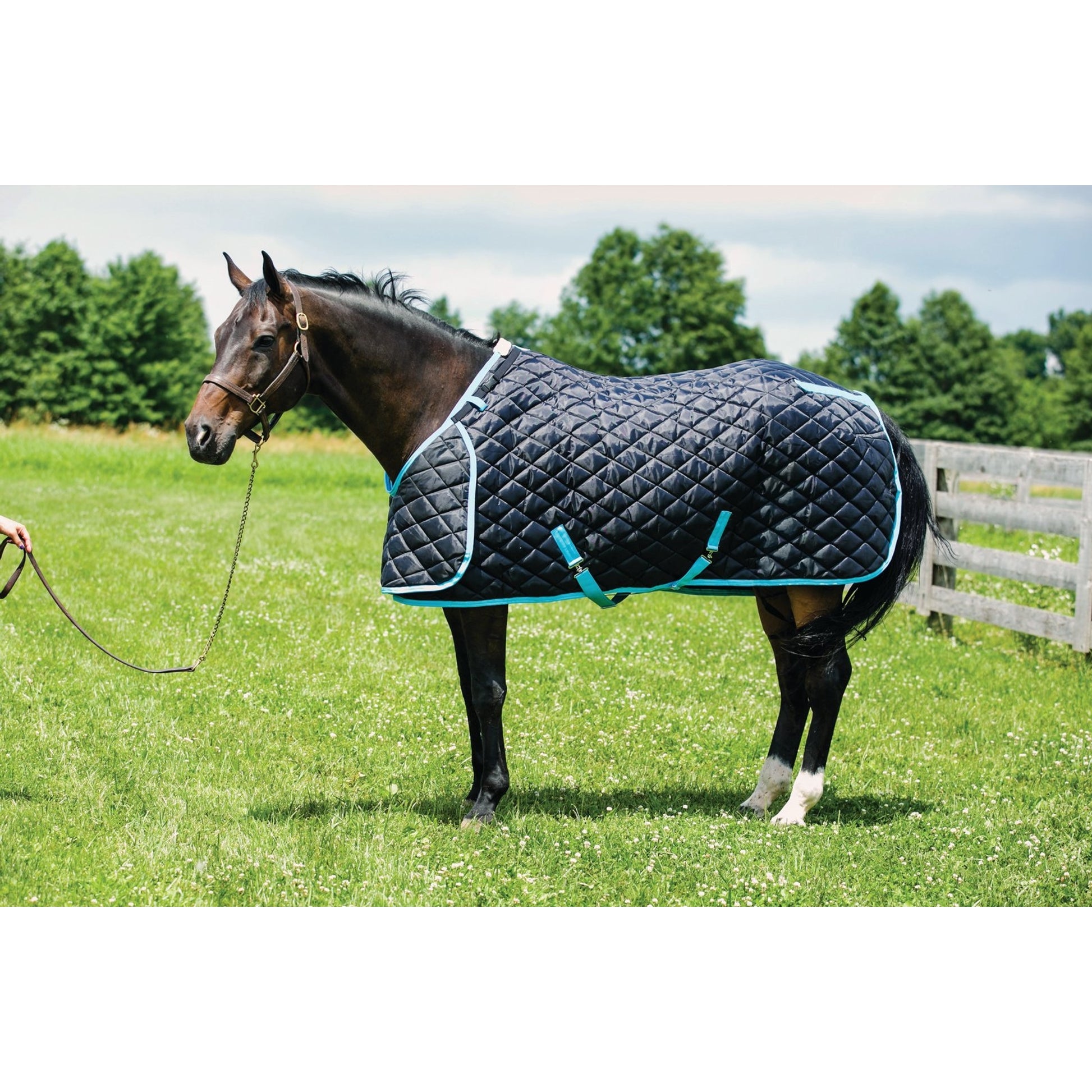 HUG Prize Stable Blanket