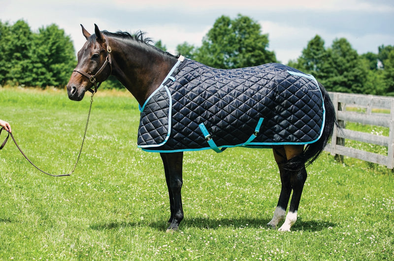 HUG Prize Stable Blanket