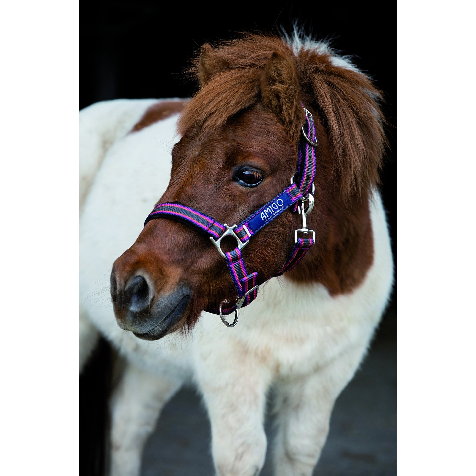 Amigo Halter