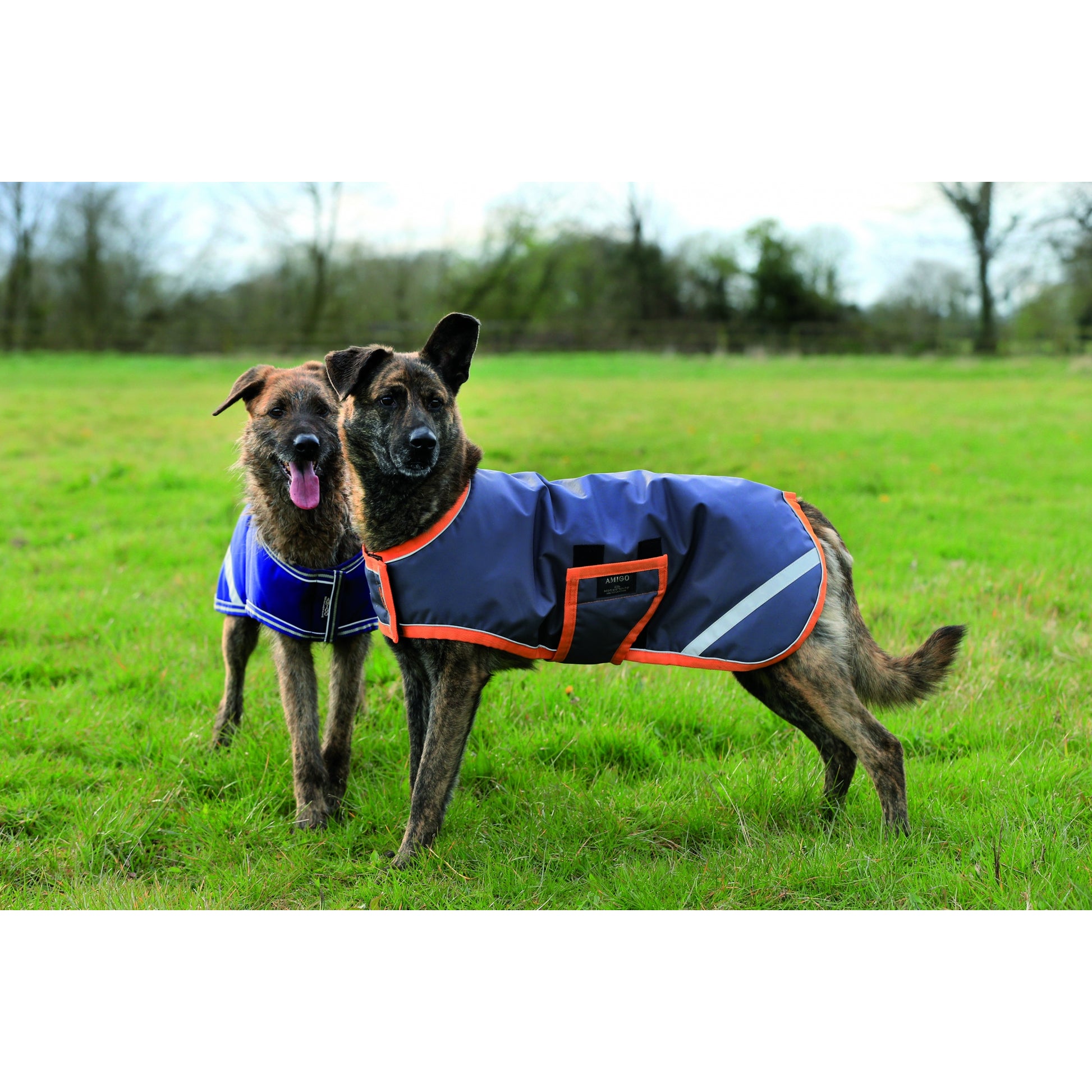 Amigo Waterproof Dog Blanket