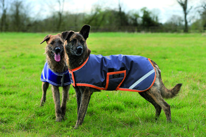 Amigo Waterproof Dog Blanket