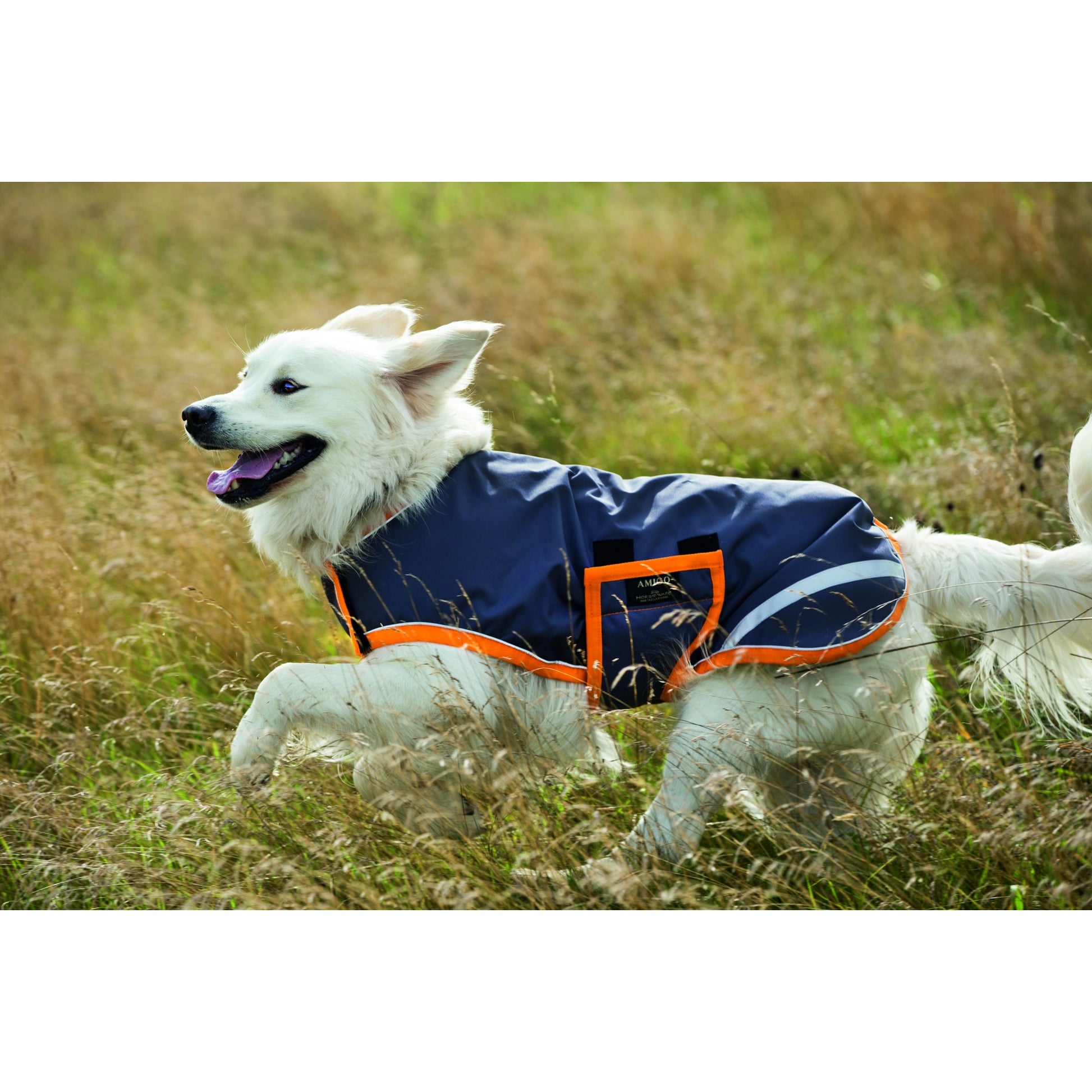 Amigo Waterproof Dog Blanket
