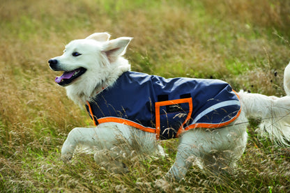 Amigo Waterproof Dog Blanket