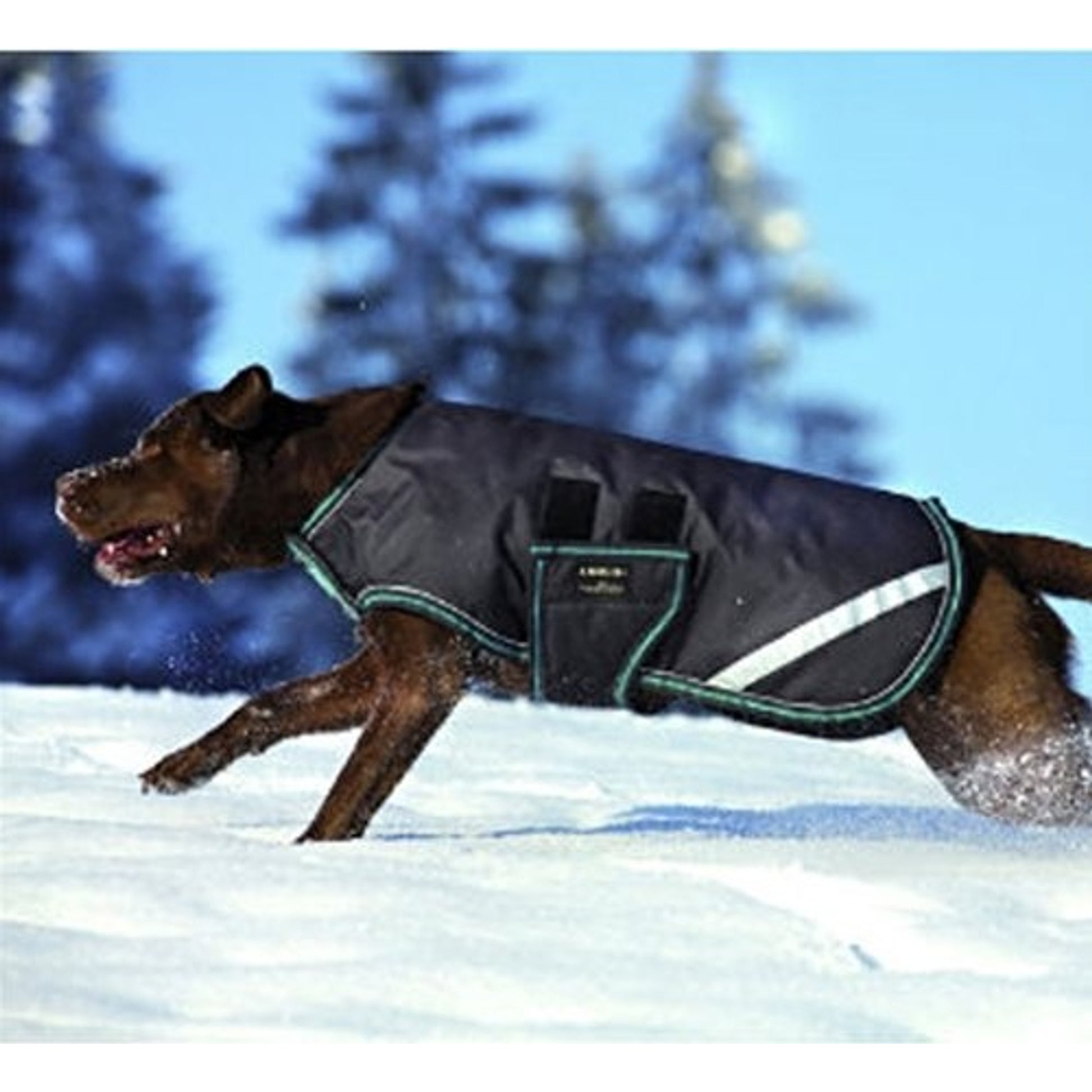 Amigo Waterproof Dog Blanket