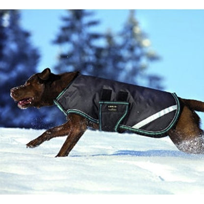 Amigo Waterproof Dog Blanket