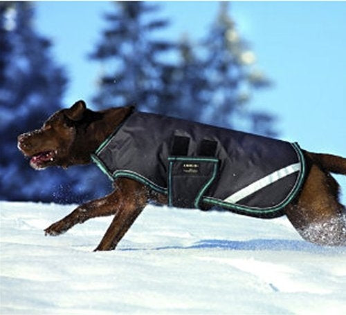 Amigo Waterproof Dog Blanket
