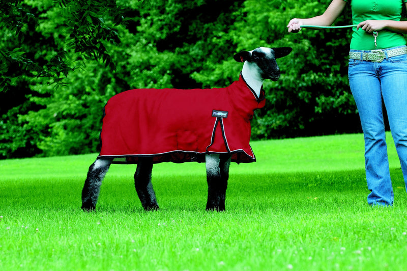 Weaver ProCool Mesh Sheep Blanket