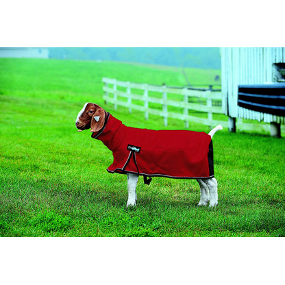ProCool Mesh Goat Blanket with Reflective Piping