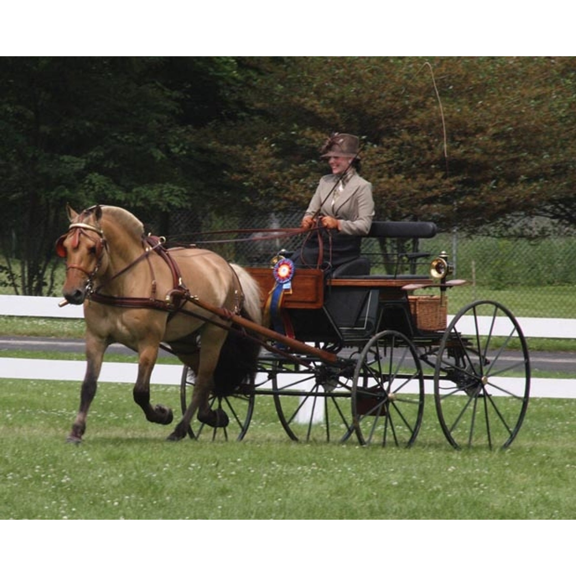 Breyer Traditional Series GVF Sjokolade
