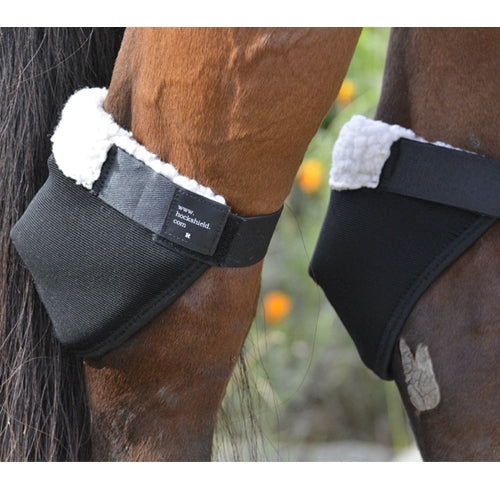 Hock Shields