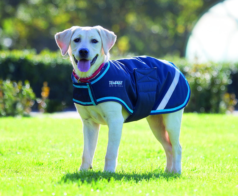 Shires Stormbreaker Dog Coat