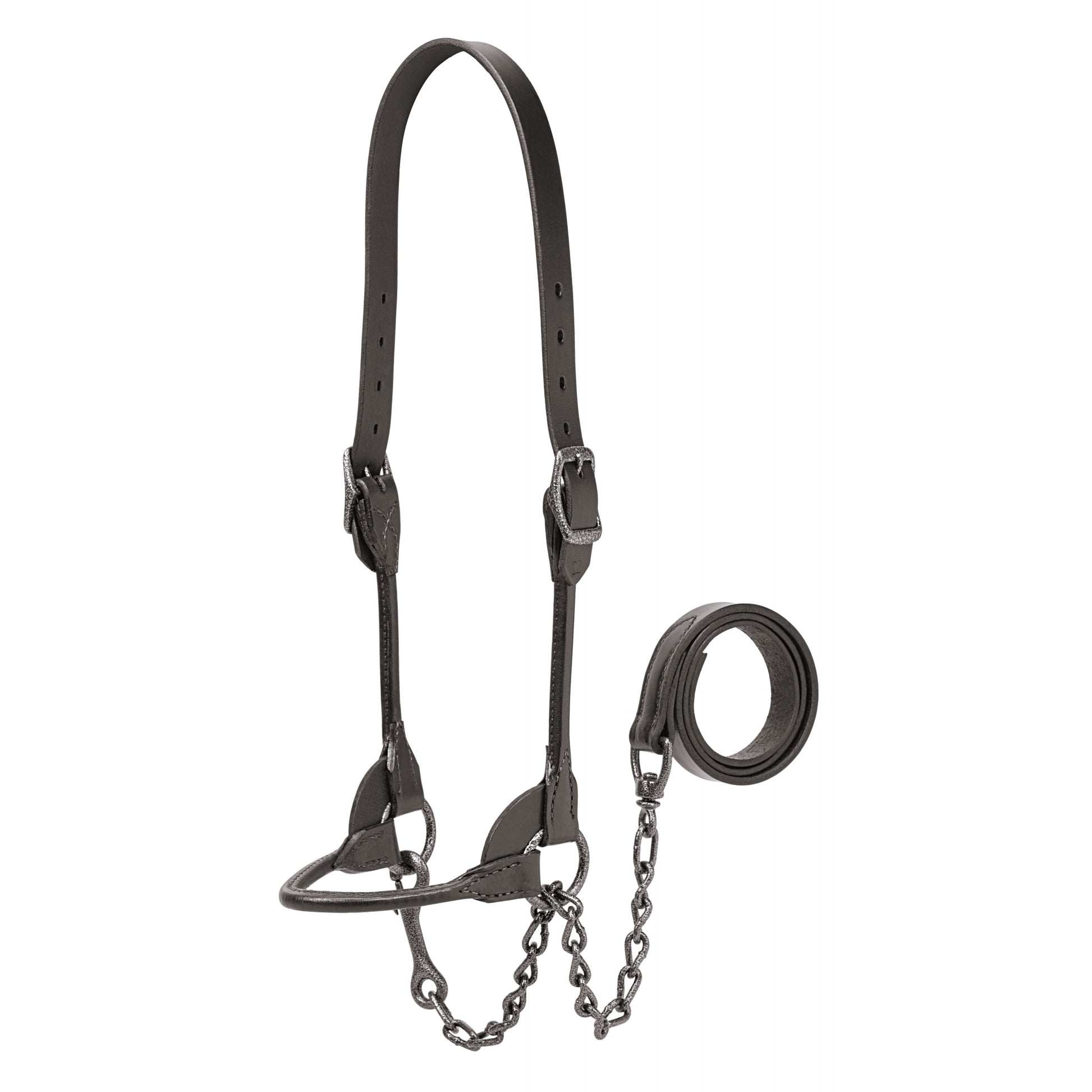 Weaver Leather Hammertone Show Halter