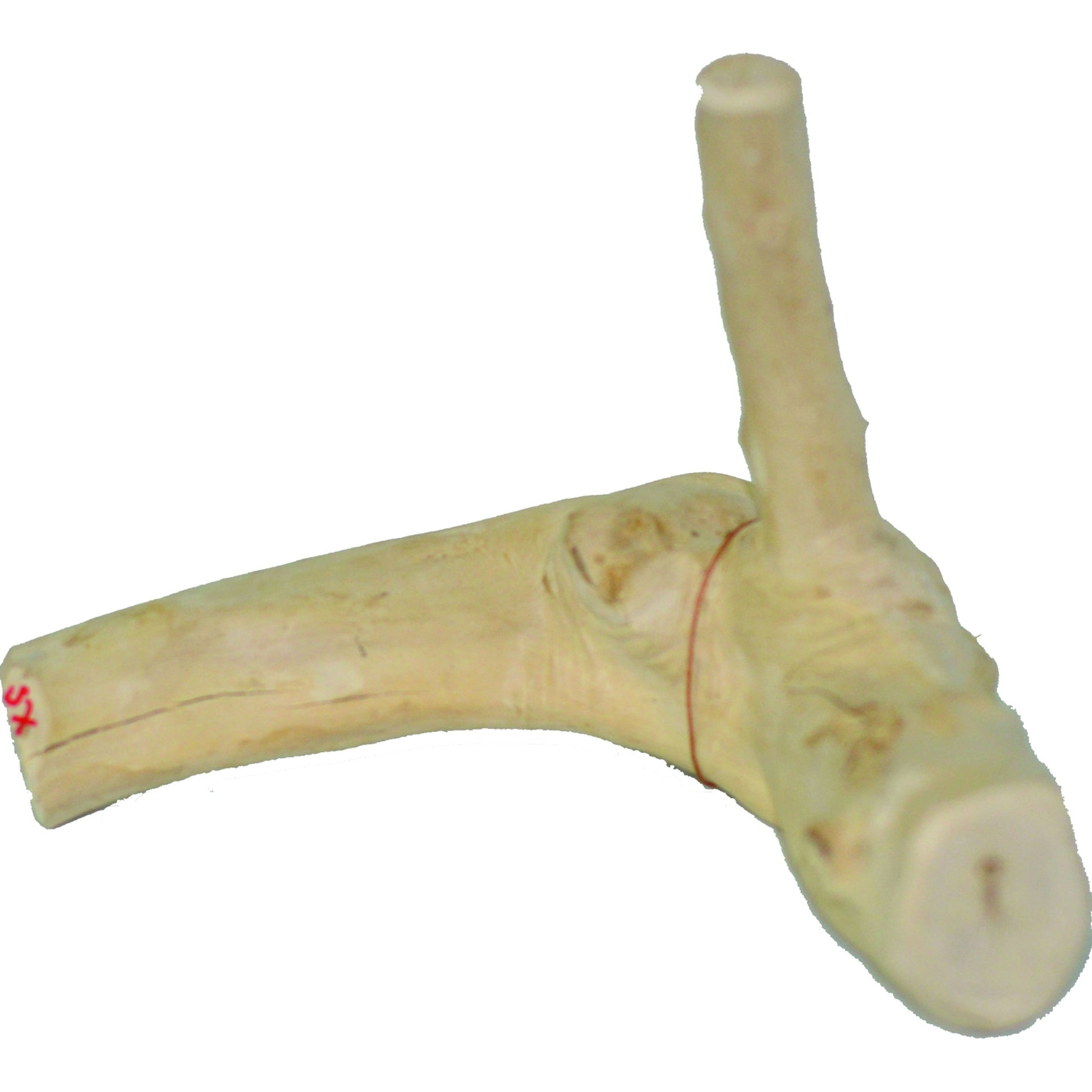 Java Wood Reptile Branch