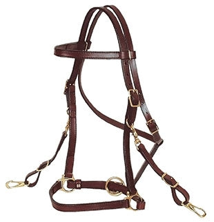 Circle Y Trail Halter/Headstall