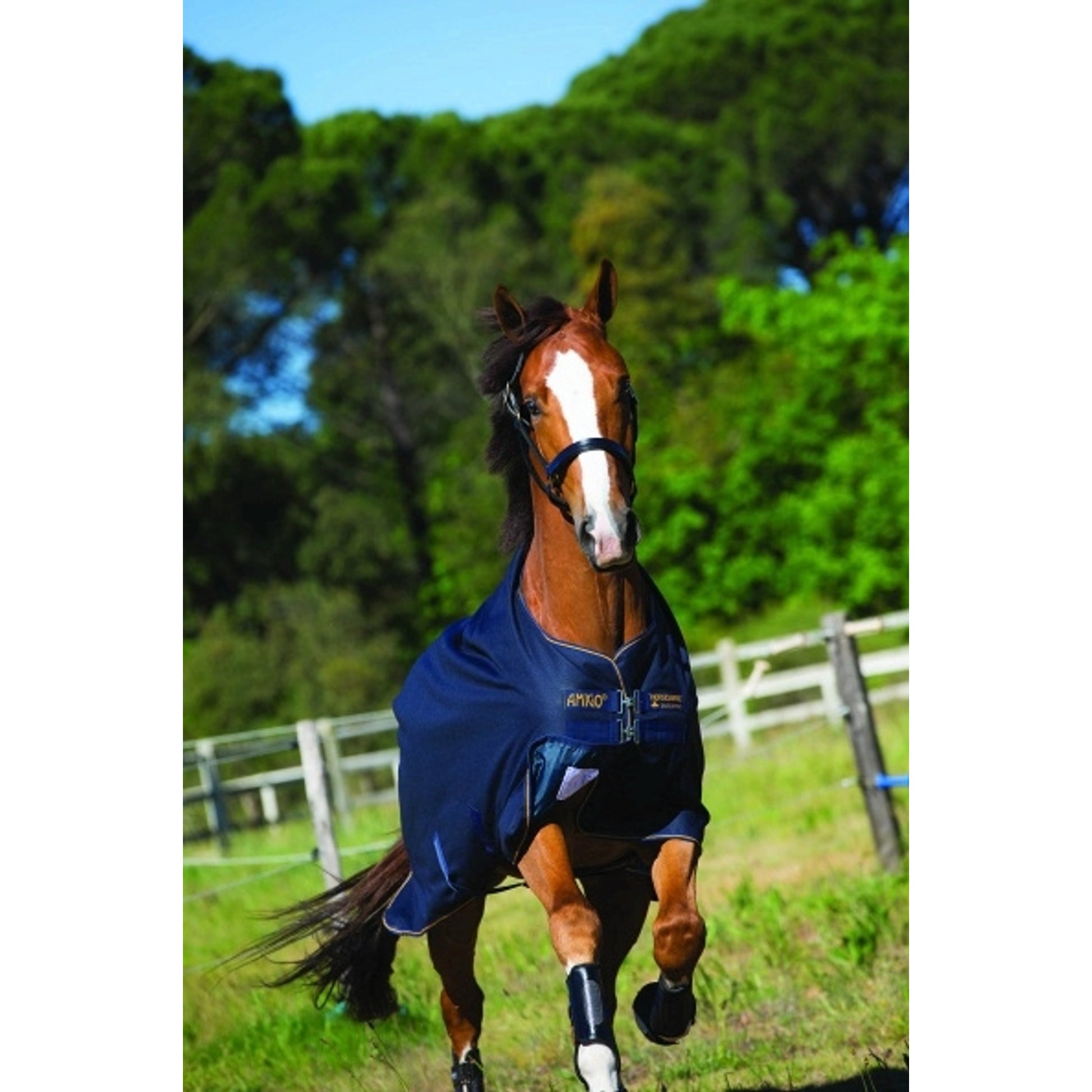 Amigo Bravo 12 Original Turnout (100g Lite)