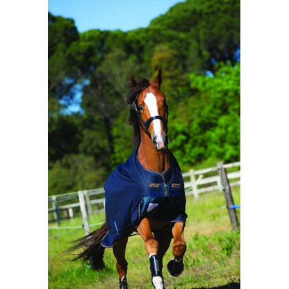 Amigo Bravo 12 Original Turnout (100g Lite)
