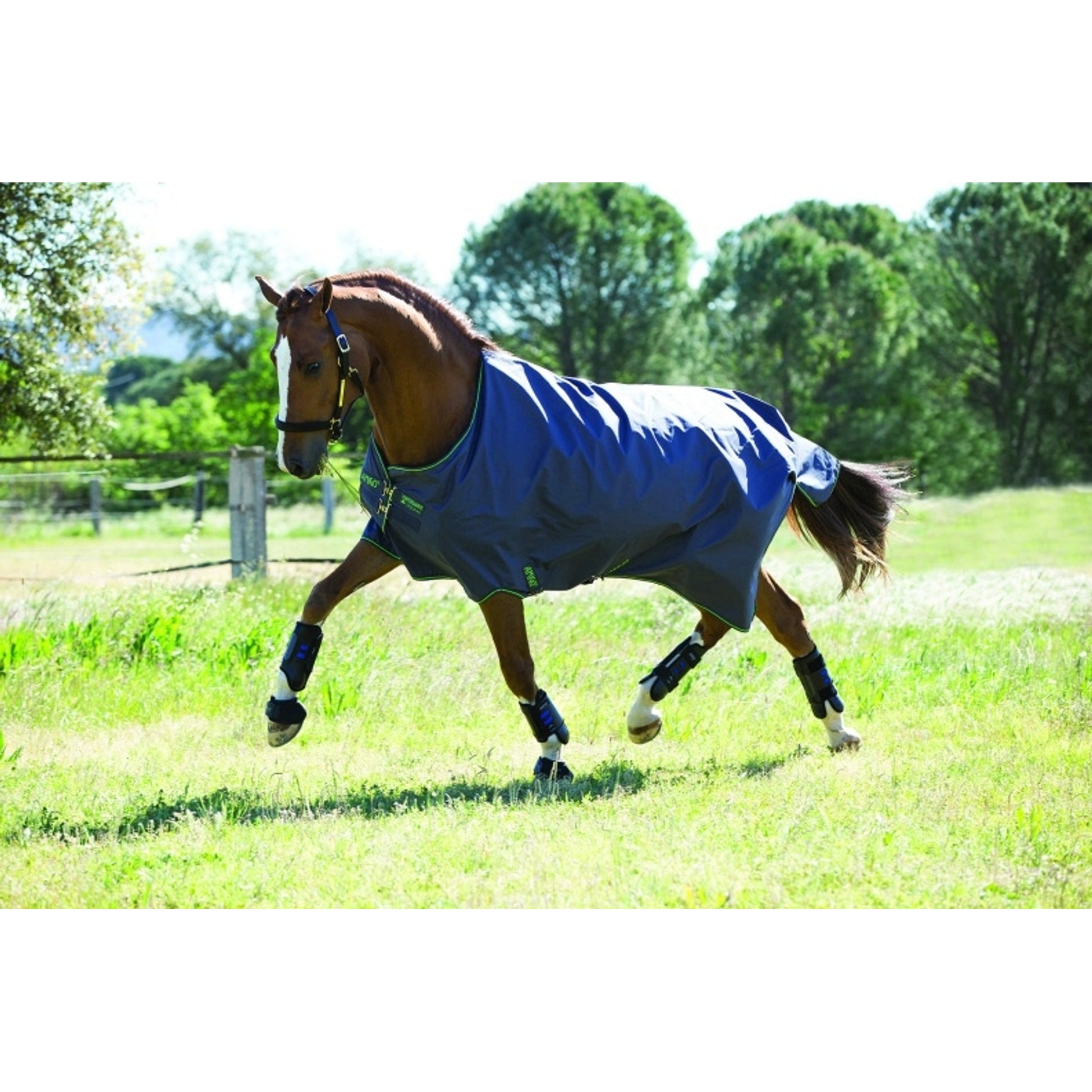 Amigo Hero Turnout Blanket - Lightweight (0g)