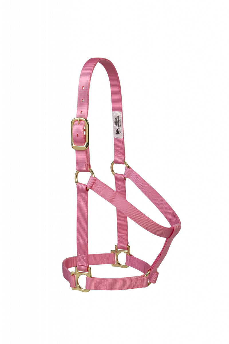Weaver Basic Non-Adjustable Nylon Halter