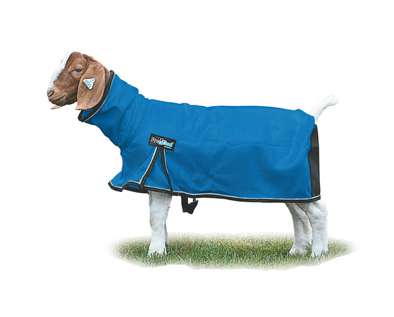 Weaver ProCool Mesh Goat Blanket with Reflective Piping