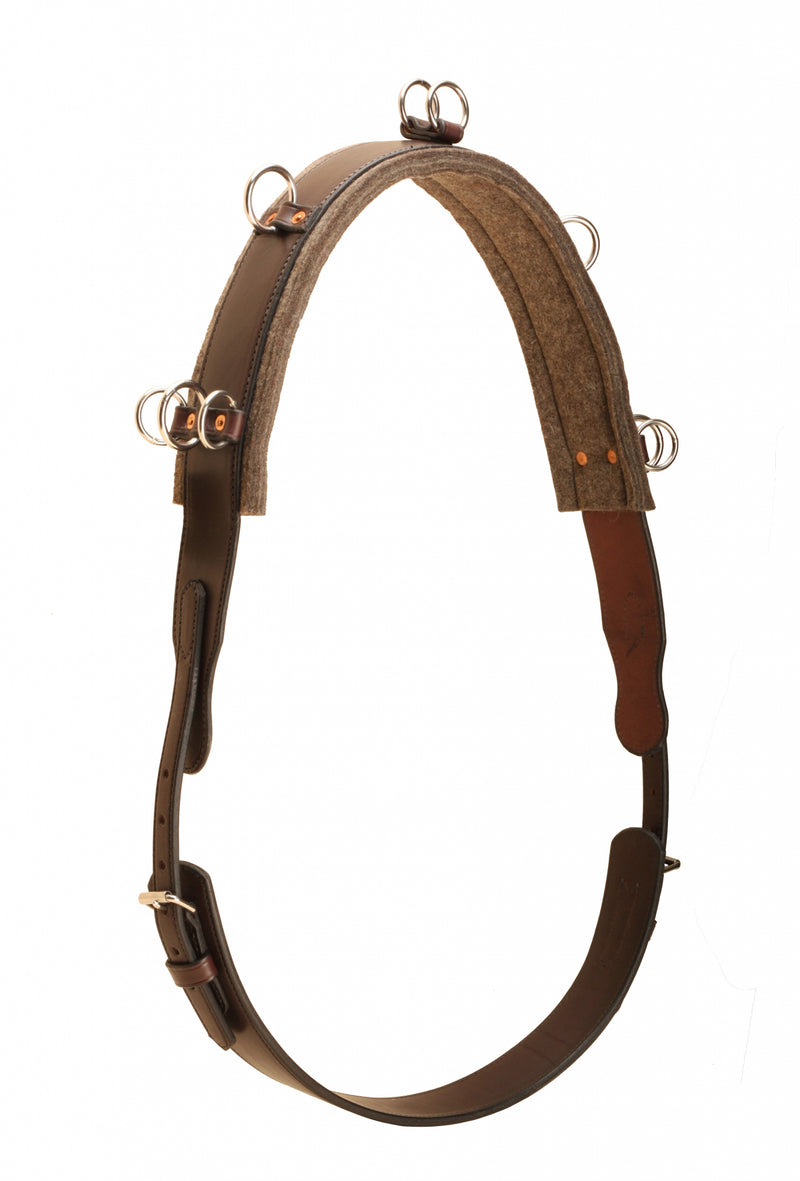 Tory Leather English Bridle Leather Surcingle