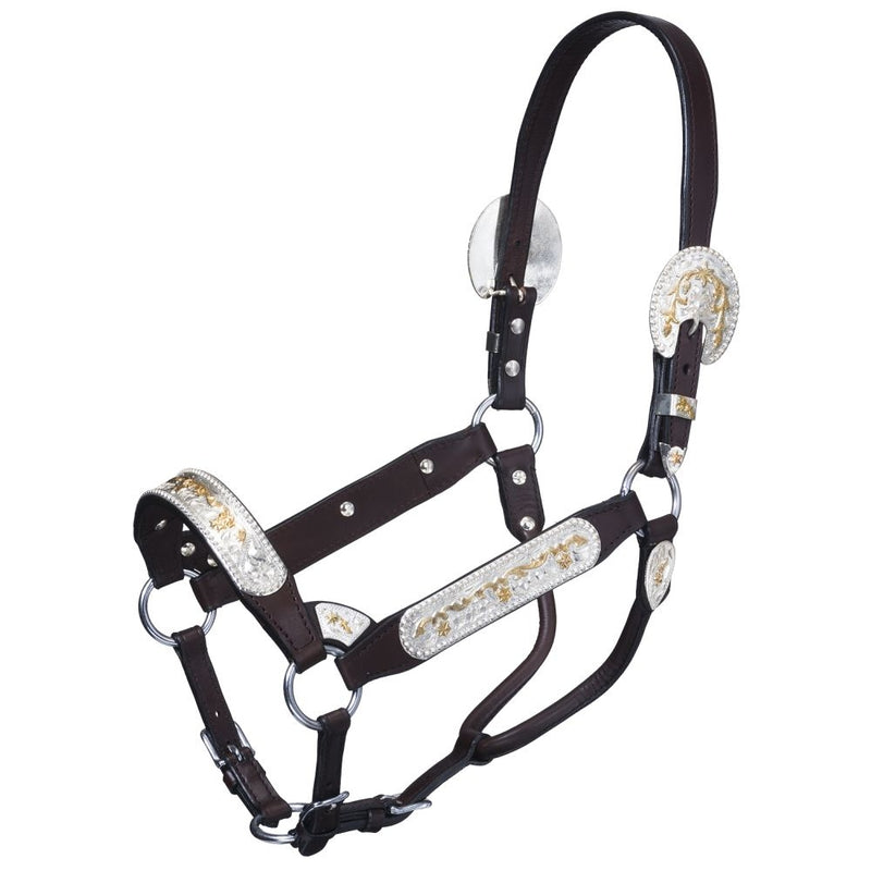 Tough-1 Premium Bright Cut Edge Silver with Gold Scroll Show Halter
