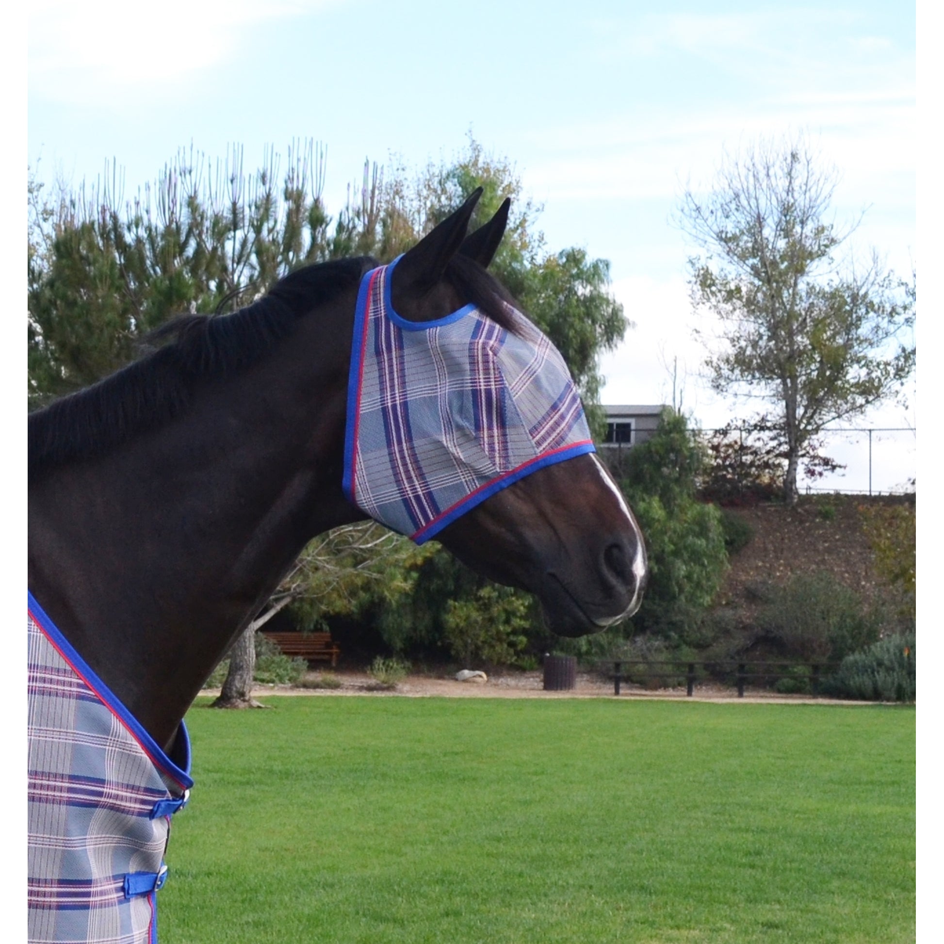 Kensington Fly Mask with Web Trim