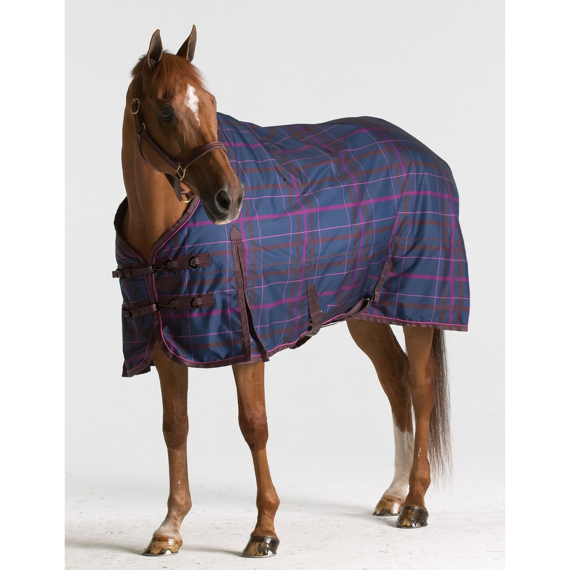 Pessoa Alpine Turnout Blanket