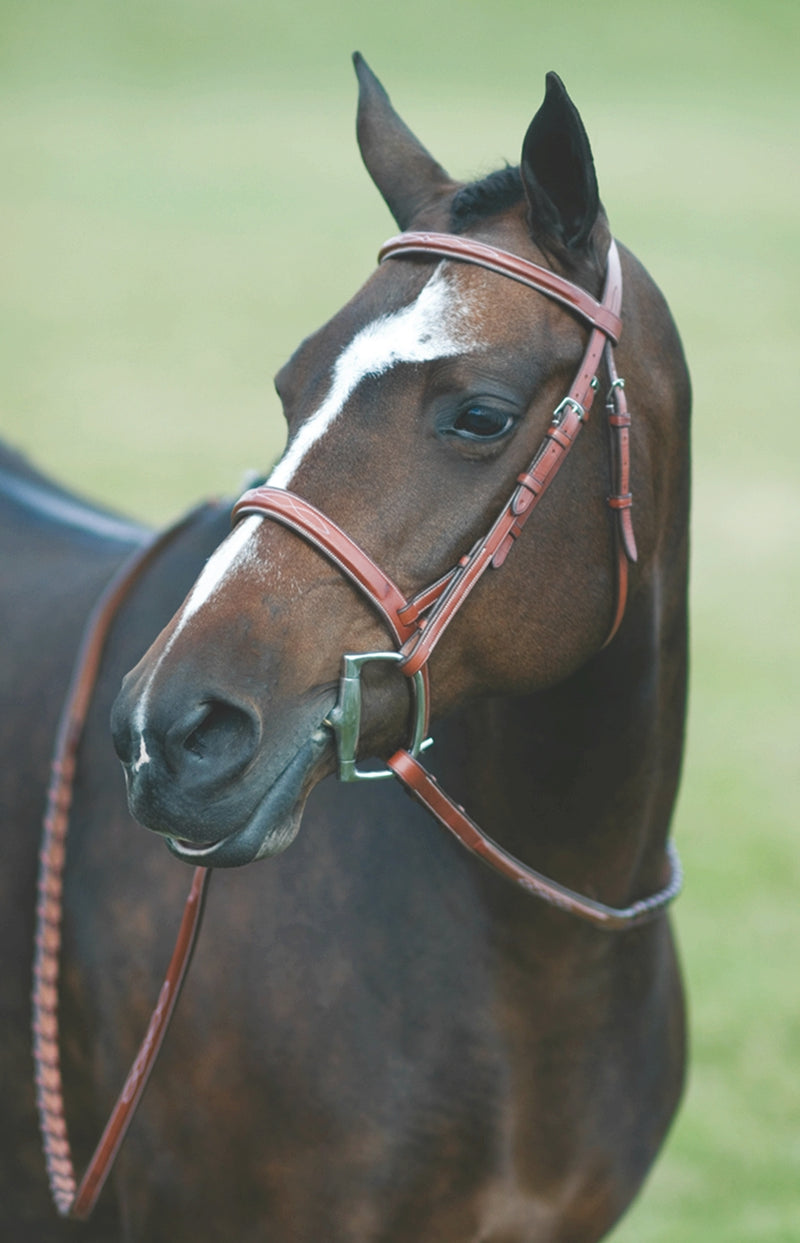 Rodrigo Fancy Stitched Wide Noseband Bridle