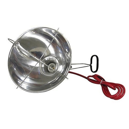 Brooder Lamp