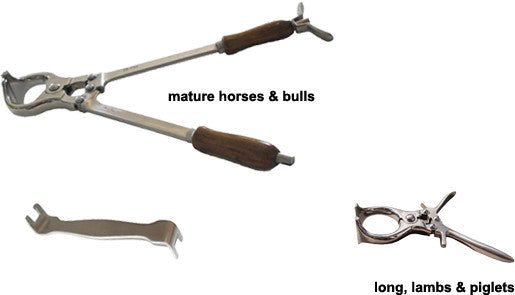 Piglet Emasculatome Castrator