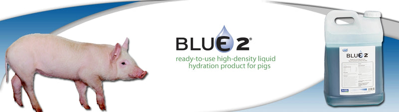 Blue 2 Liquid