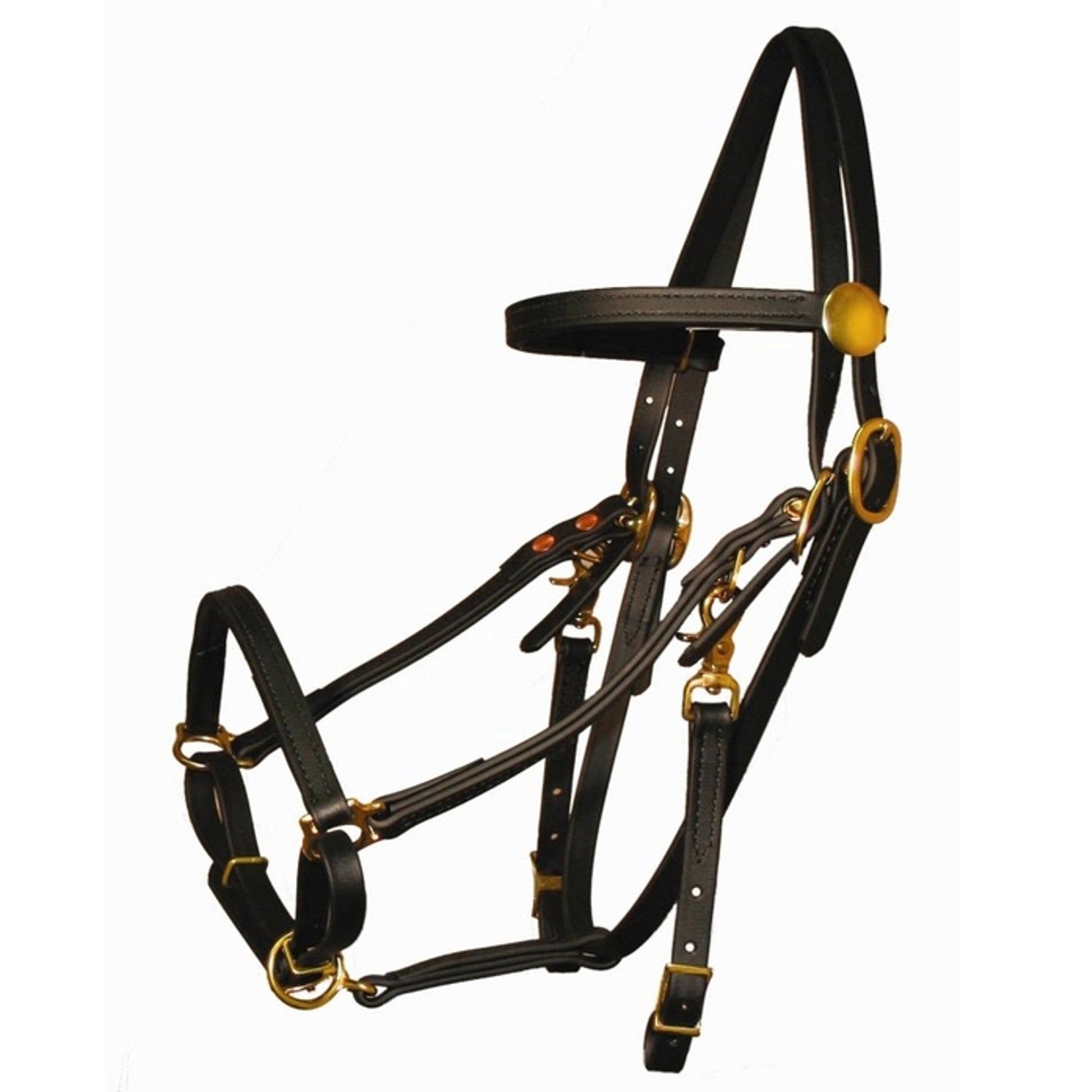 Beta Biothane Rope Halter Tucker Beta BioThane Halter Bridle– HorseLoverZ