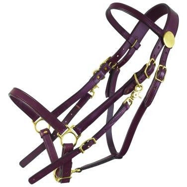 Tucker Halter Bridle Standard