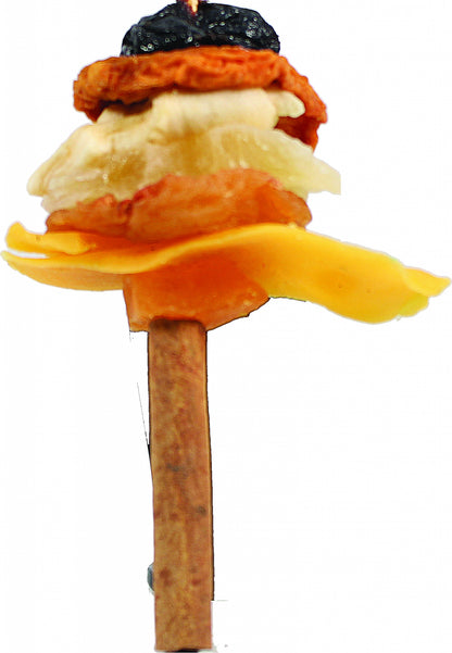 Happy Beaks Dried Fruit & Cinnamon Skewer Bird Toy