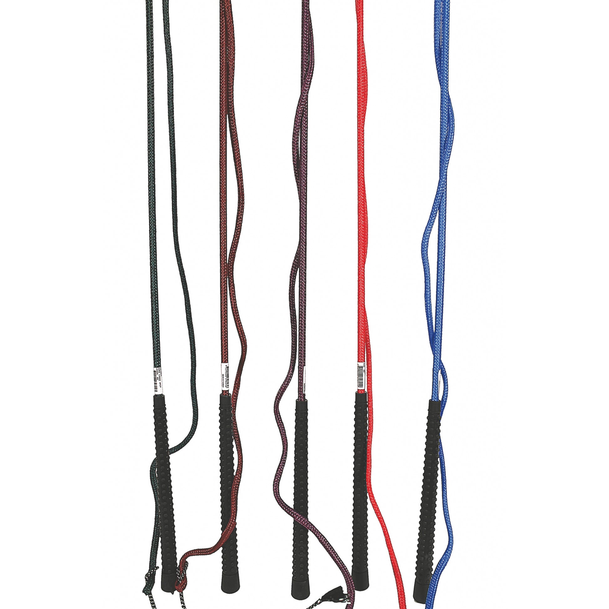 Lunge Whip With Popper