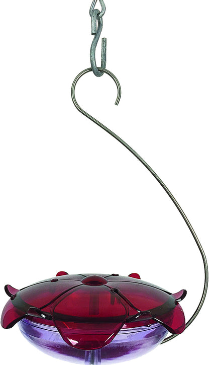 Droll Yankees Ruby Sipper Hanging Hummingbird Feeder
