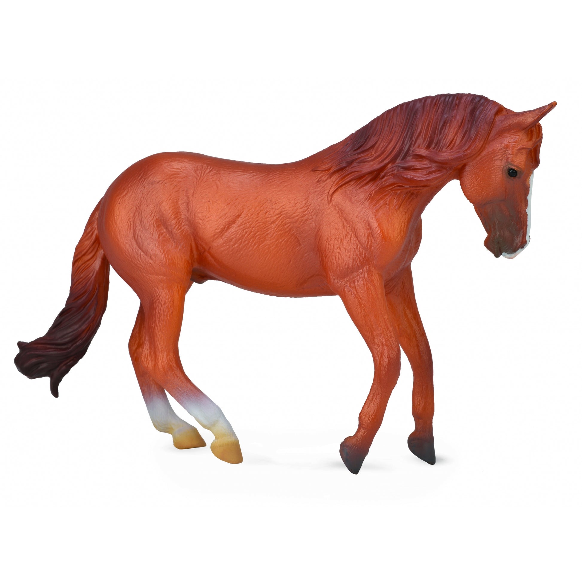 Breyer by CollectA Australian Stock Horse Stallion - Chestnut