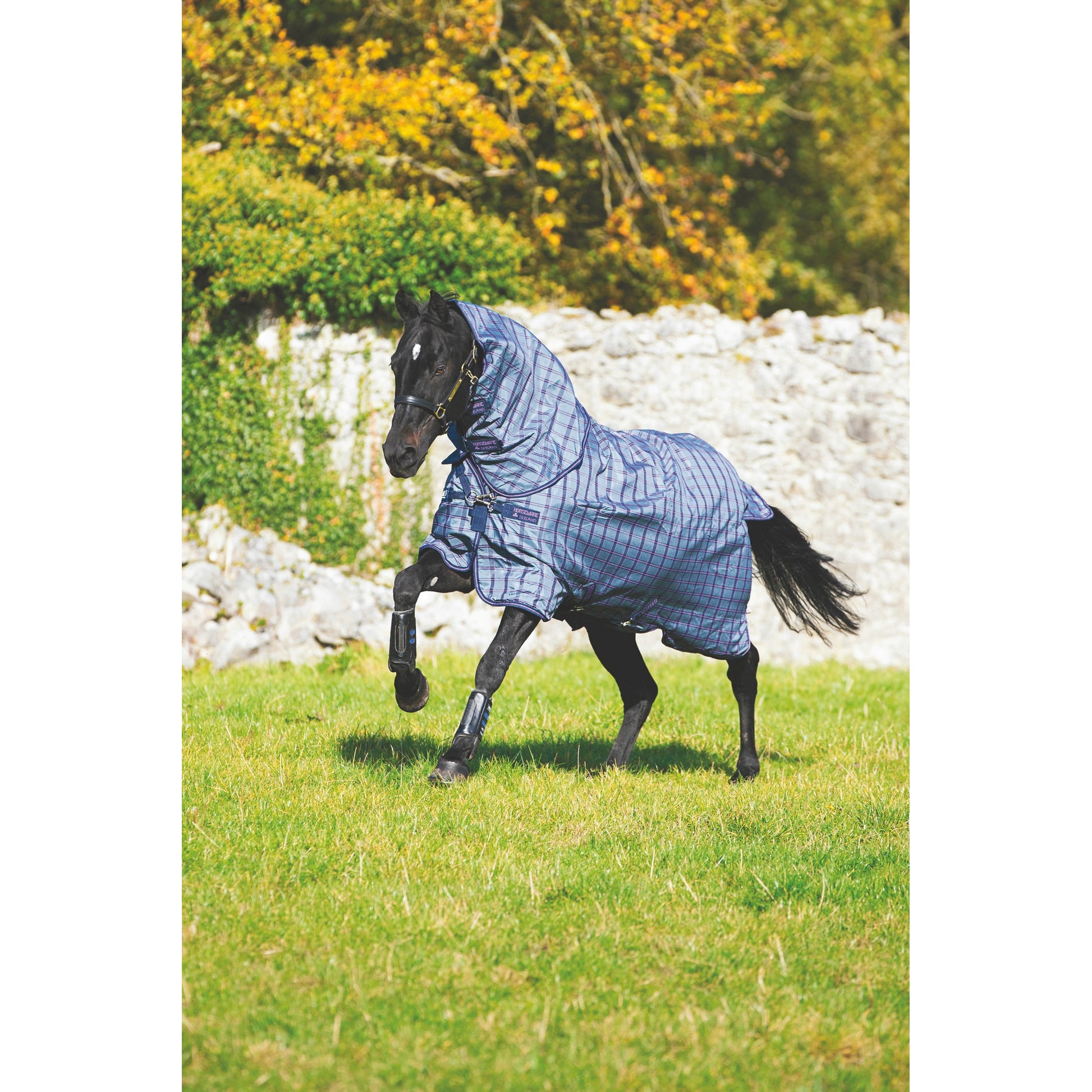 Rhino Plus Turnout Blanket - Lite