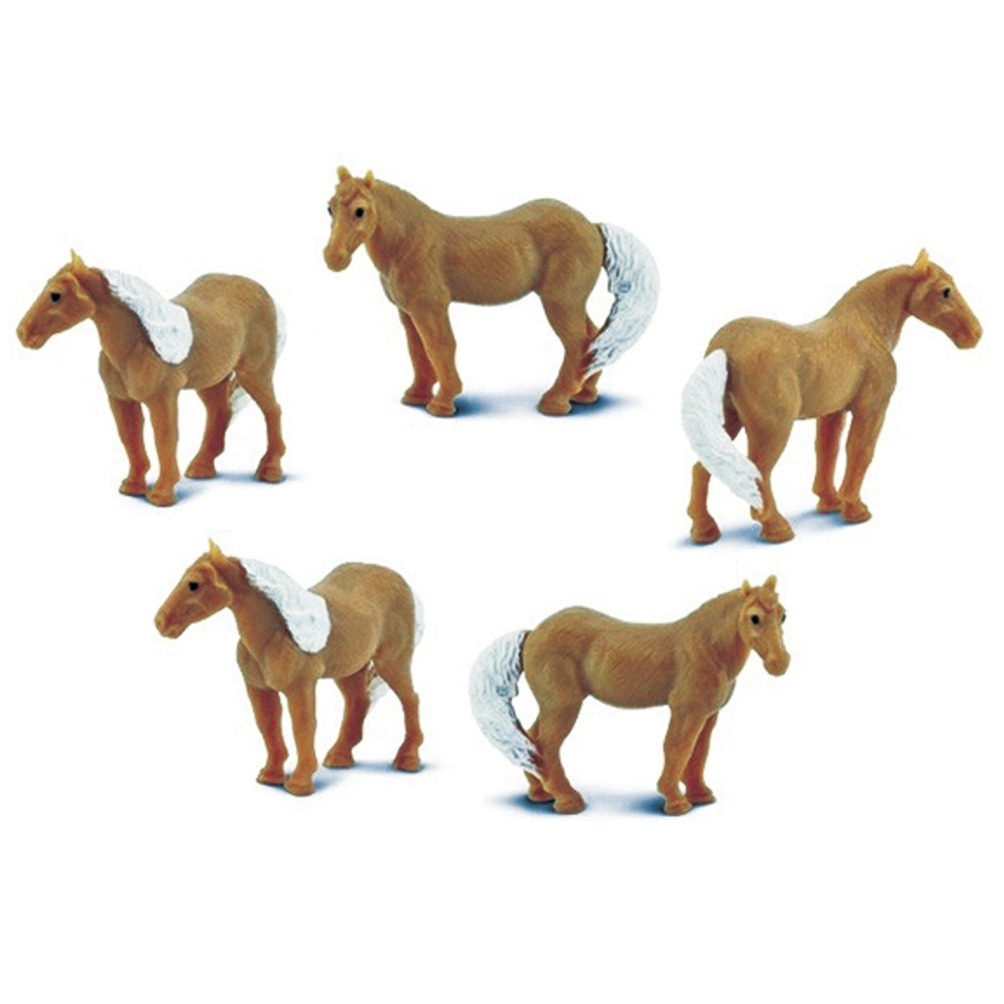 5-806856.jpg