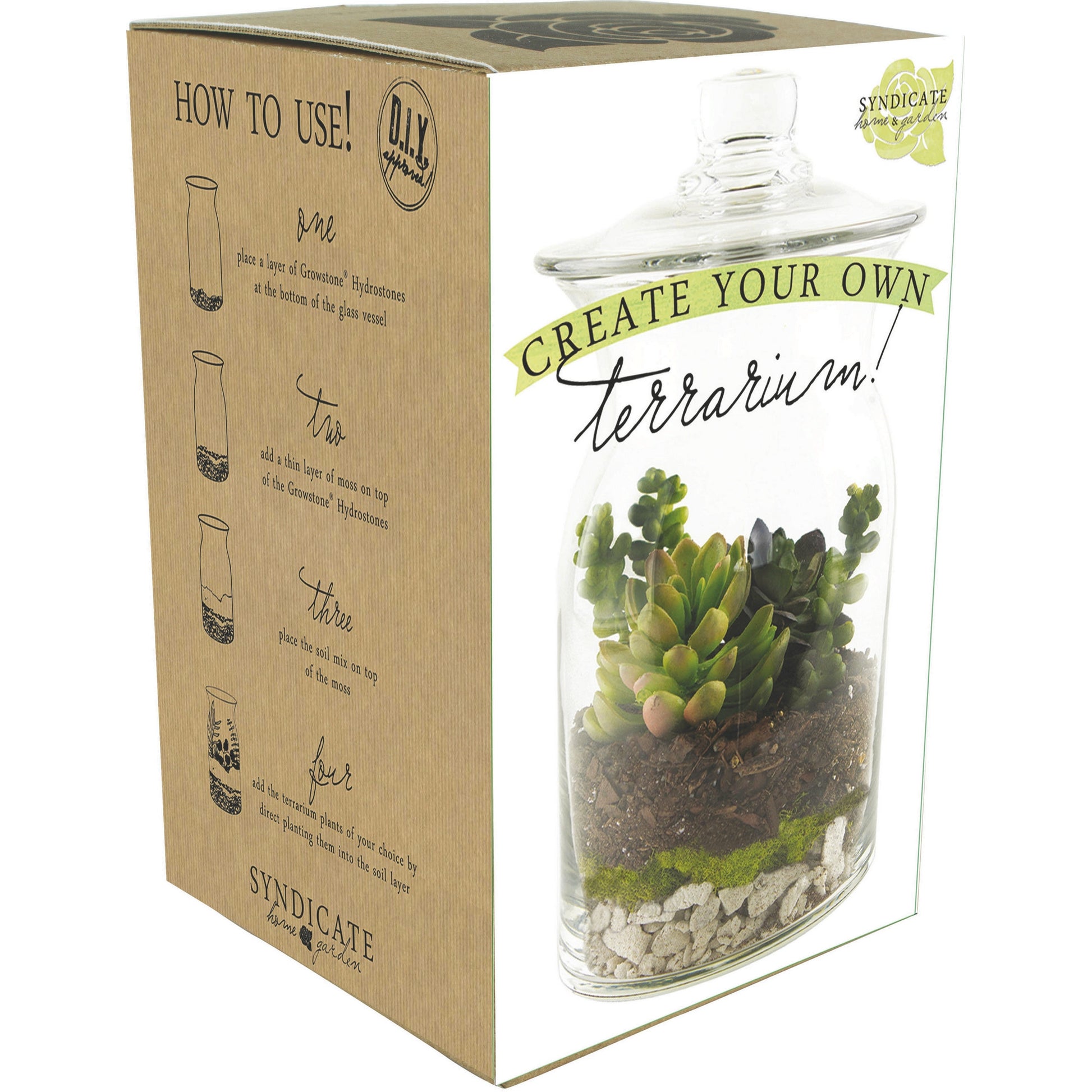 Diy Terrarium Kit