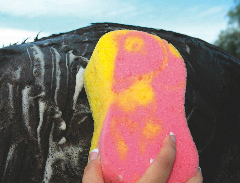 Tail Tamer Tie Dye Sponge