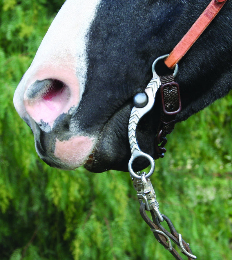 Classic Equimedia Rickey Green : méthode 3 Imagine DVD, Heeling Classic Equimedia Rickey Green : méthode 3 Imagine DVD, Heeling