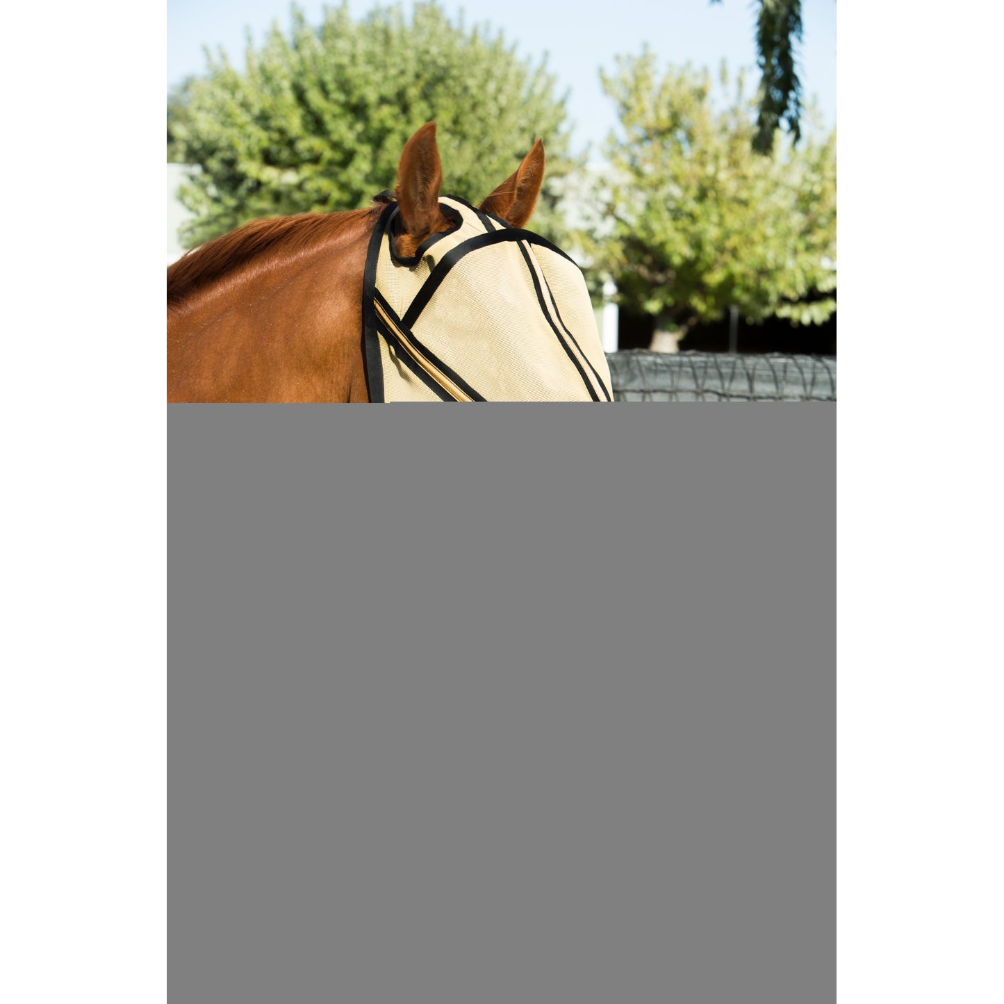 5-826896-goldnoearlife.jpg