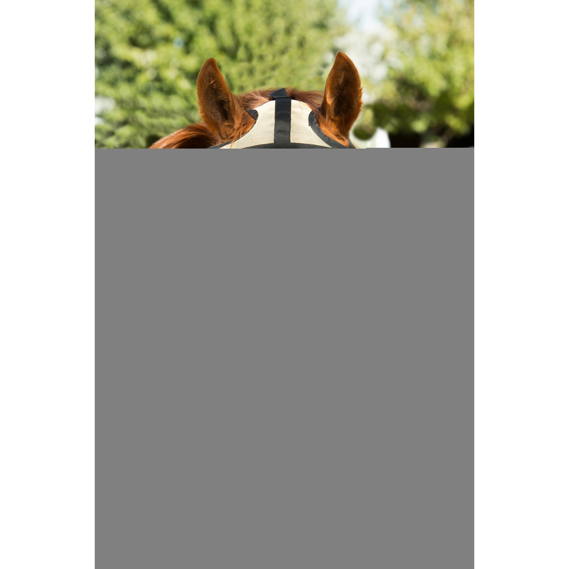 Noble Equestrian Guardsman Fly Mask - No Ear