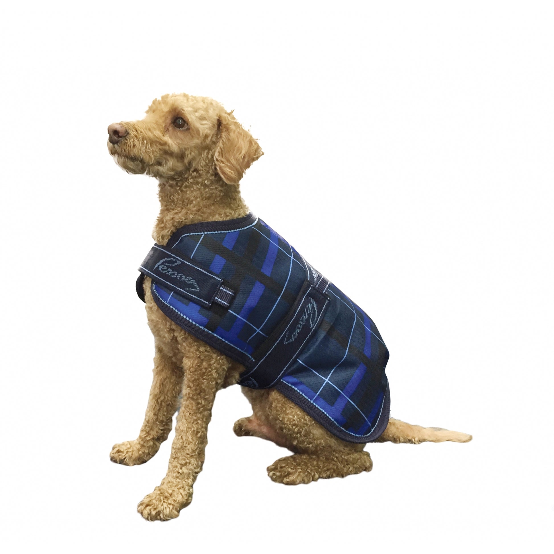 Pessoa 1200D Dog Blanket