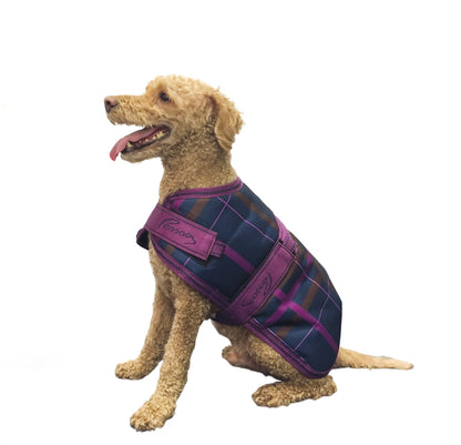 Pessoa 1200D Dog Blanket
