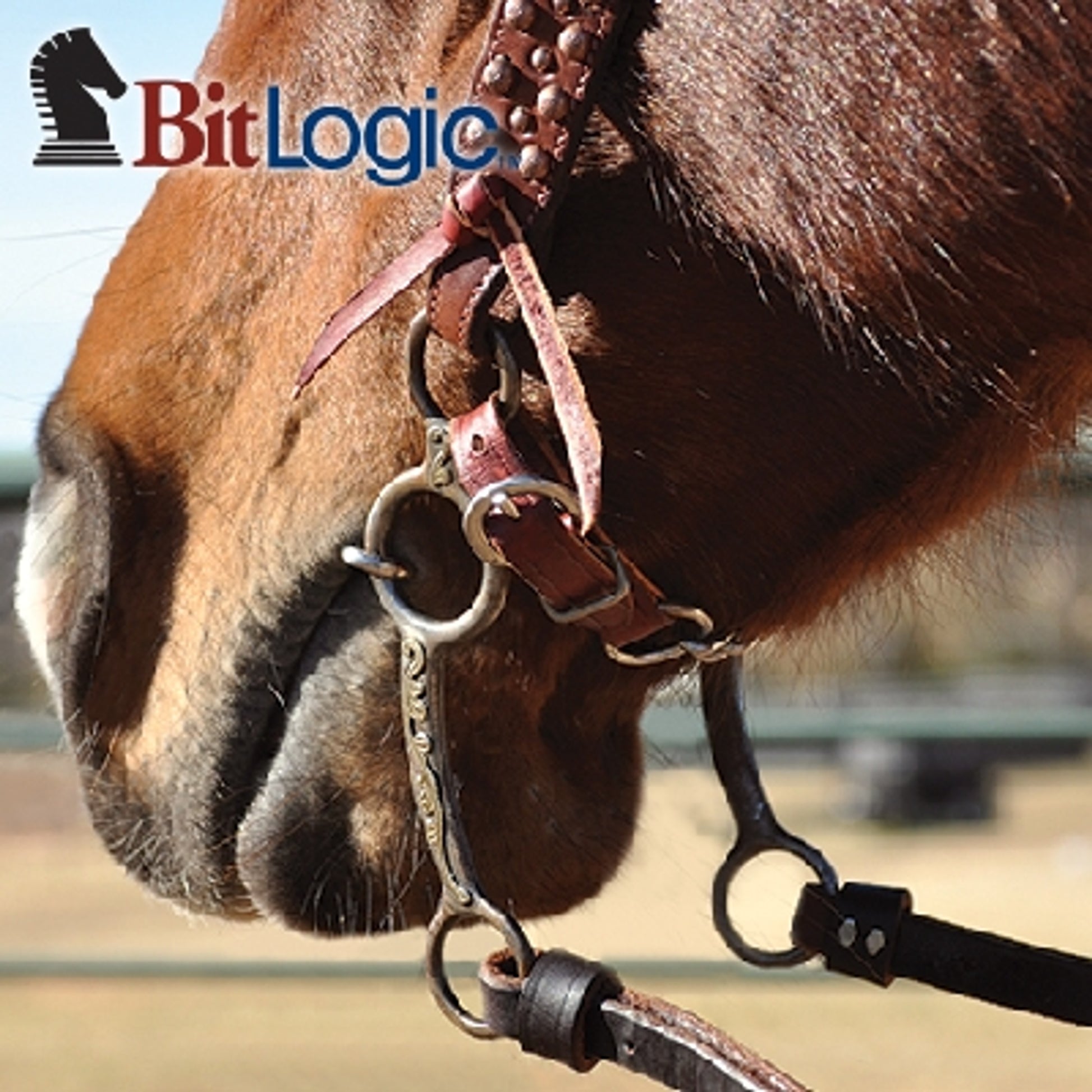 Classic Equine Professional Series 6 1/2" Ring Gag Bit